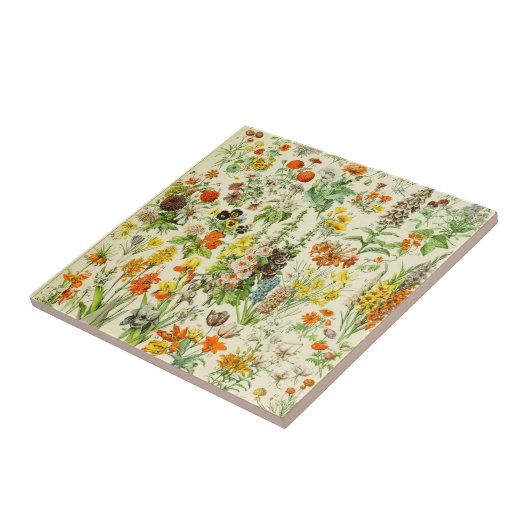 Keramik-Tile-Feld der Blume Fliese (Seite)