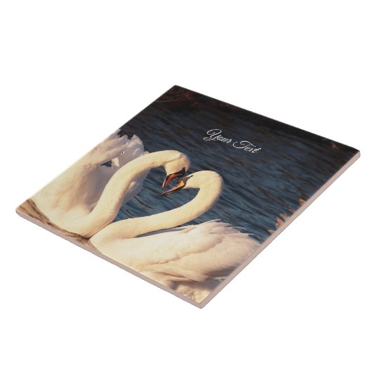 Keramik Tile Fliese (Seite)