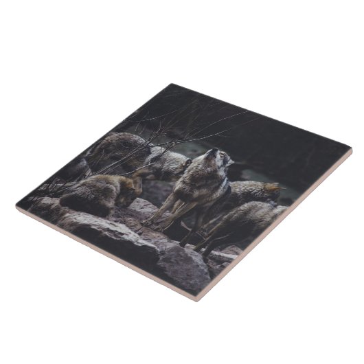 Keramik Tile Fliese (Seite)