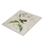 Keramik Tile Fliese (Seite)