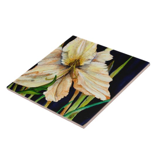 Keramik Tile Fliese (Seite)