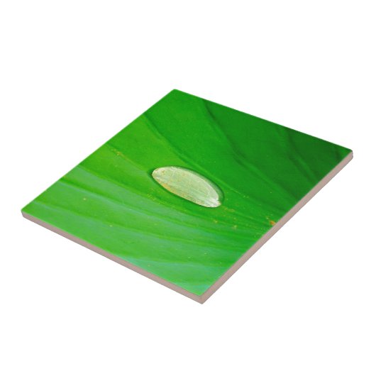 Keramik Tile Fliese (Seite)