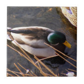 Keramik Tile Fliese (Vorderseite)