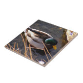 Keramik Tile Fliese (Seite)