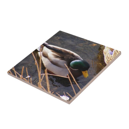 Keramik Tile Fliese (Seite)