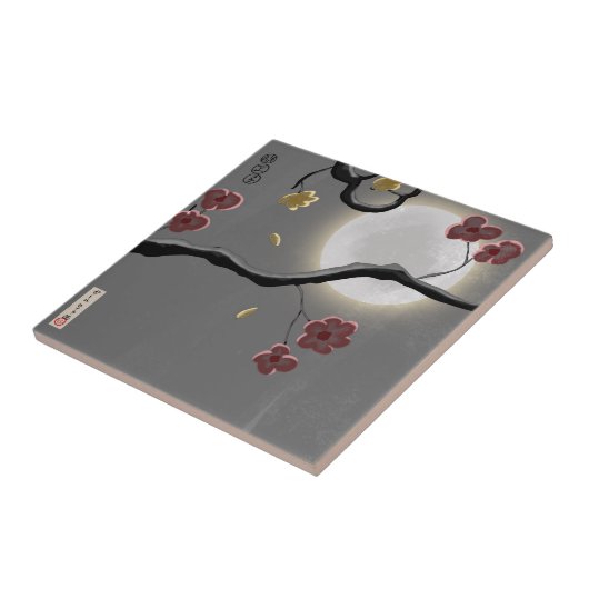 Keramik Tile Fliese (Seite)