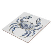 Keramik Tile Fliese (Seite)