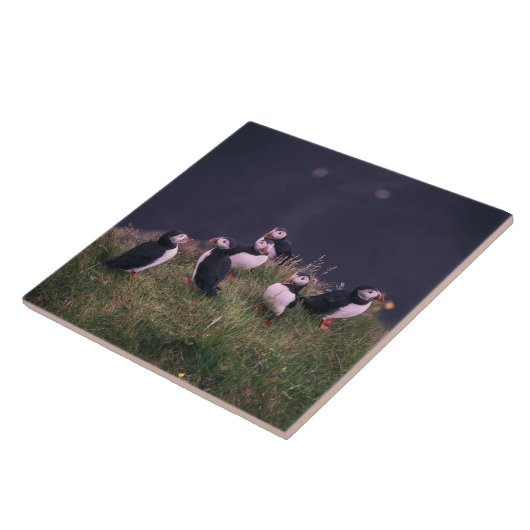 Keramik Tile Fliese (Seite)