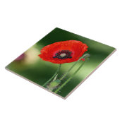 Keramik Tile Fliese (Seite)