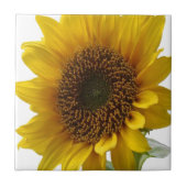 Keramik Tile Floral Sonnenblume Fliese (Vorderseite)