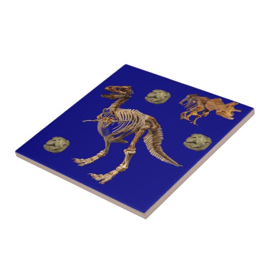 Keramik Tile Fossil Fliese (Seite)