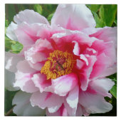 KERAMIK TILE/FRILLY ROSE-PINK & WHITE PEONY FLIESE (Vorderseite)