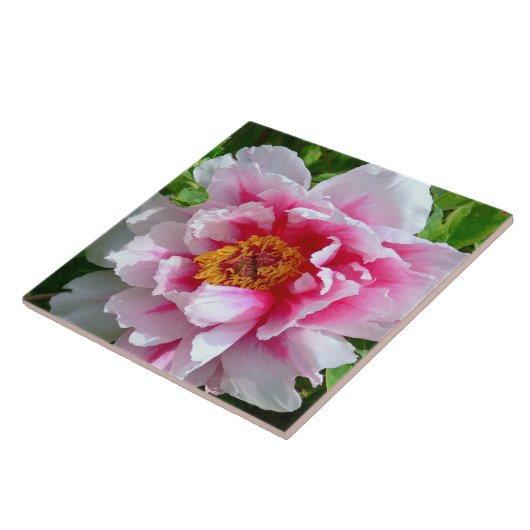 KERAMIK TILE/FRILLY ROSE-PINK & WHITE PEONY FLIESE (Seite)