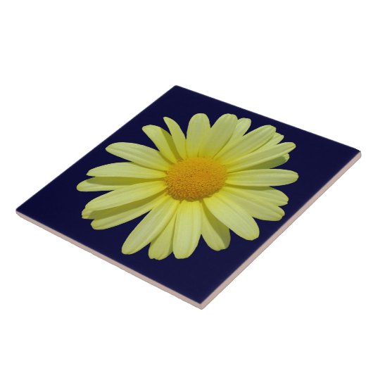 Keramik Tile - Gelbe Daisy am Mitternachtshimmel Fliese (Seite)