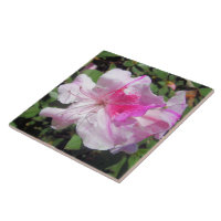 Keramik Tile - George Taber Azalea