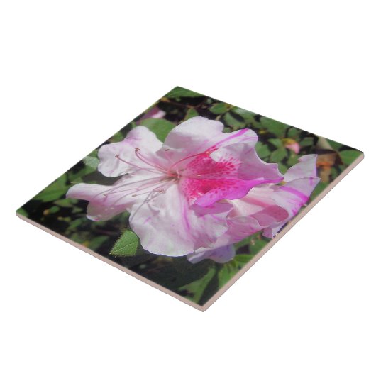 Keramik Tile - George Taber Azalea Fliese (Seite)