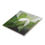 Keramik Tile Green White Botanic Fliese (Seite)