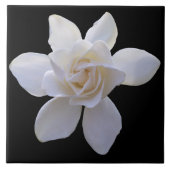 Keramik Tile - Gröden auf Schwarz Fliese (Vorderseite)