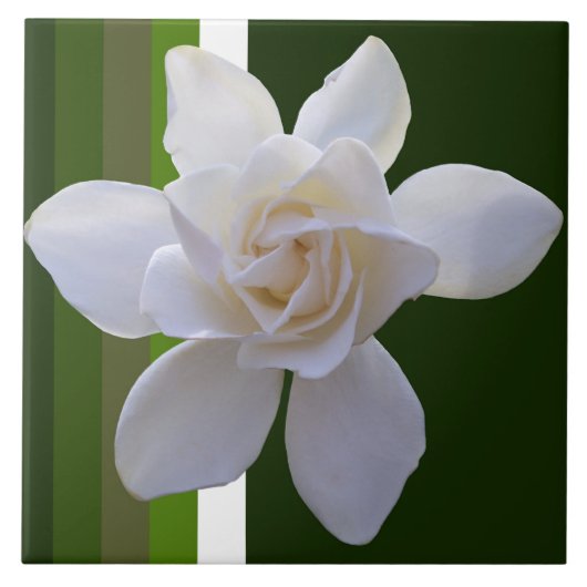 Keramik Tile - Gröden auf Streifen Fliese (Vorderseite)