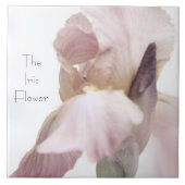 Keramik Tile Iris Blume Rosa/Lila Fliese (Vorderseite)