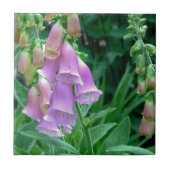 KERAMIK TILE/"LAVENDERFARBIGER FOXGLOVE NACH REGEN FLIESE (Vorderseite)