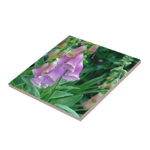 KERAMIK TILE/"LAVENDERFARBIGER FOXGLOVE NACH REGEN FLIESE
