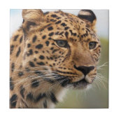 Keramik Tile Leopard Fliese (Vorderseite)