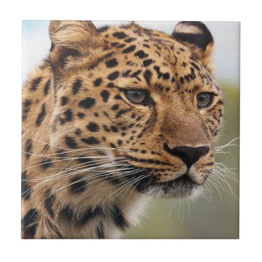 Keramik Tile Leopard Fliese (Vorderseite)