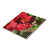 Keramik Tile mit rotem Hibiskus Fliese (Seite)
