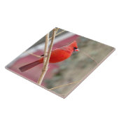 Keramik Tile mit rotem Kardinal Fliese (Seite)