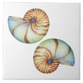 Keramik Tile - Muscheln Fliese (Vorderseite)