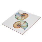 Keramik Tile - Muscheln Fliese (Seite)