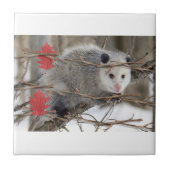 Keramik Tile Opossum-Natur Fliese (Vorderseite)