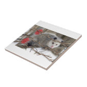 Keramik Tile Opossum-Natur Fliese (Seite)