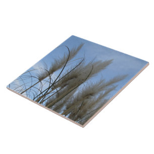 Keramik Tile - Pampas Grass Fliese
