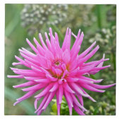 KERAMIK TILE /PINK DAHLIA FLIESE (Vorderseite)
