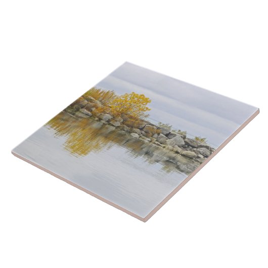 KERAMIK TILE/ROCK WALL & GOLDEN BAUM FLIESE (Seite)