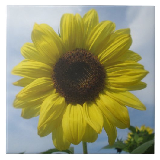 Keramik Tile - Sonnenblumen Summer Sky Fliese (Vorderseite)