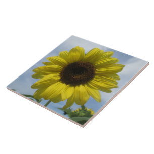 Keramik Tile - Sonnenblumen Summer Sky Fliese
