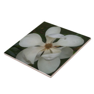 Keramik Tile - SüdMagnolien - Blossom II Fliese