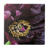 Keramik TILE/TRIVET "ÄGPPLANFARBENE PERSONEN" Fliese (Vorderseite)