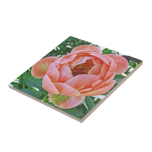 KERAMIK TILE/TRIVET MIT PINKSPRITZE FLIESE (Seite)
