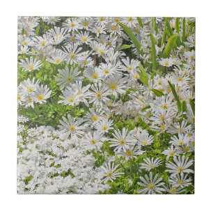 KERAMIK TILE/TRIVET MIT WEISSEN SHASTA-DAISIEN FLIESE