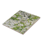 KERAMIK TILE/TRIVET MIT WEISSEN SHASTA-DAISIEN FLIESE (Seite)