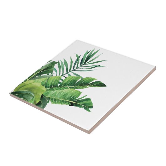 Keramik Tile/tropische Palmen Fliese (Seite)