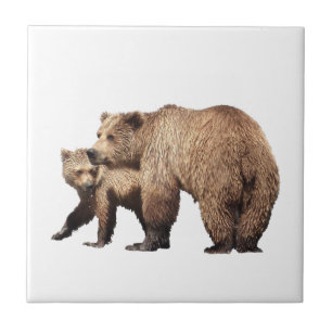 Keramik Tile von Grizzly Bär & cub Fliese
