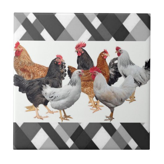 Keramik Tile White Black Kariert Chickens Fliese (Vorderseite)