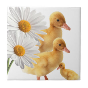 Keramik Tile White Daisy Floral Fliese