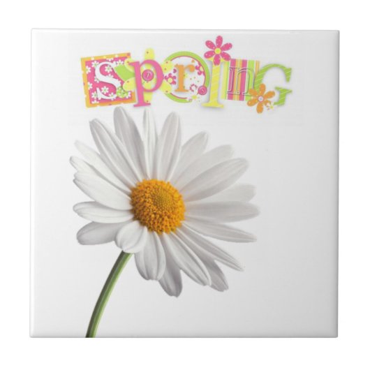 Keramik Tile White Daisy Floral Spring Fliese (Vorderseite)
