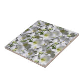 Keramik Tile White Floral Fliese (Seite)